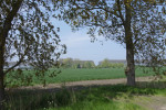 uitzicht op bouwland